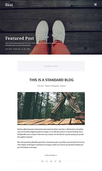 Real Blog Wordpress Theme - Menu Hidden 