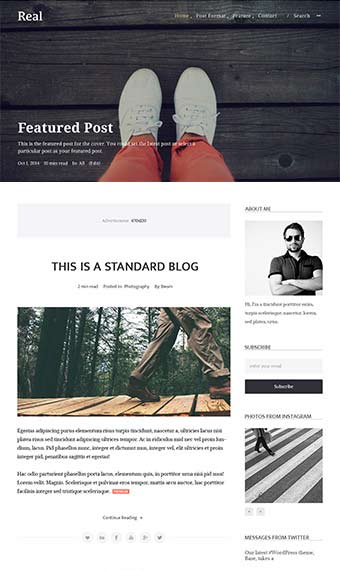 Real Blog Wordpress Theme - Transparent Menu - Sidebar