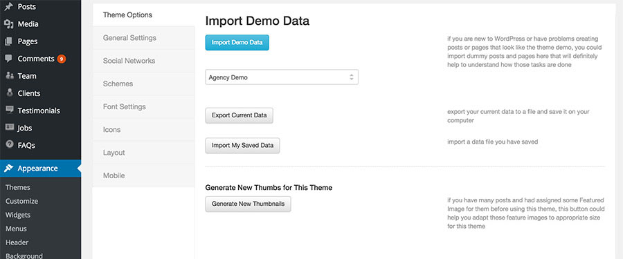 Theme Option