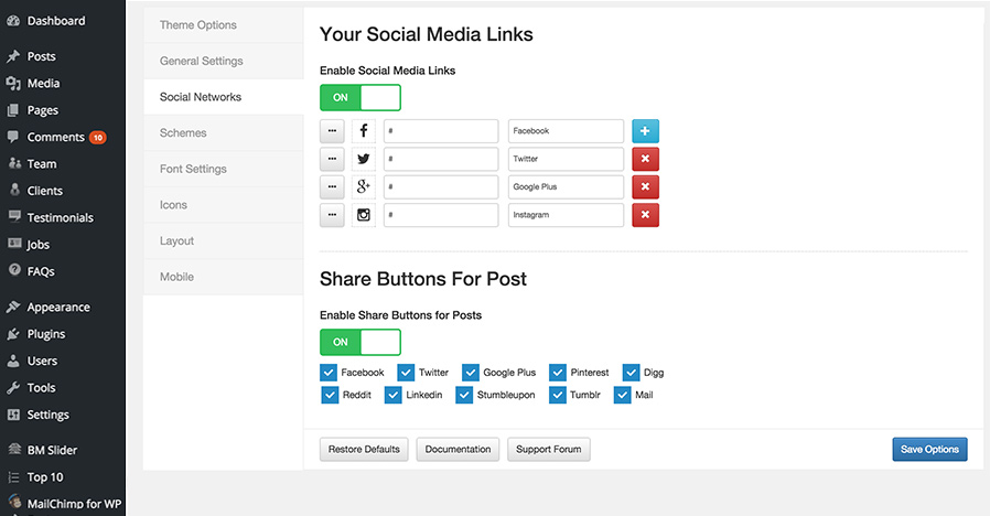 Theme Option - General settings