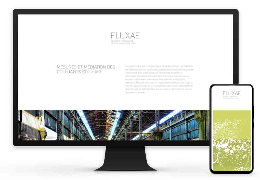 Fluxae Website